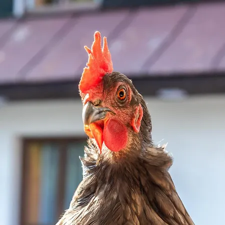 Vápenka